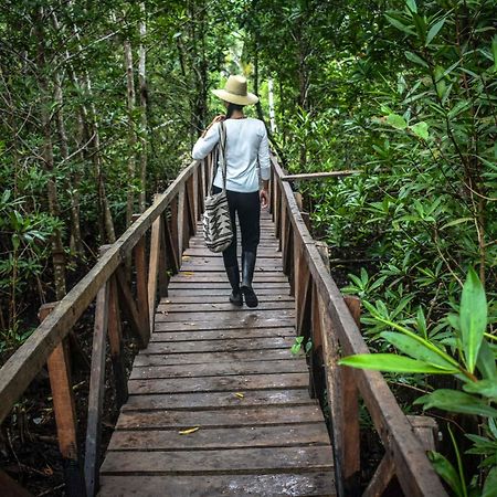 Jardin Botanico Del Pacifico Y Mecana Ecohotel Bahia Solano Eksteriør bilde