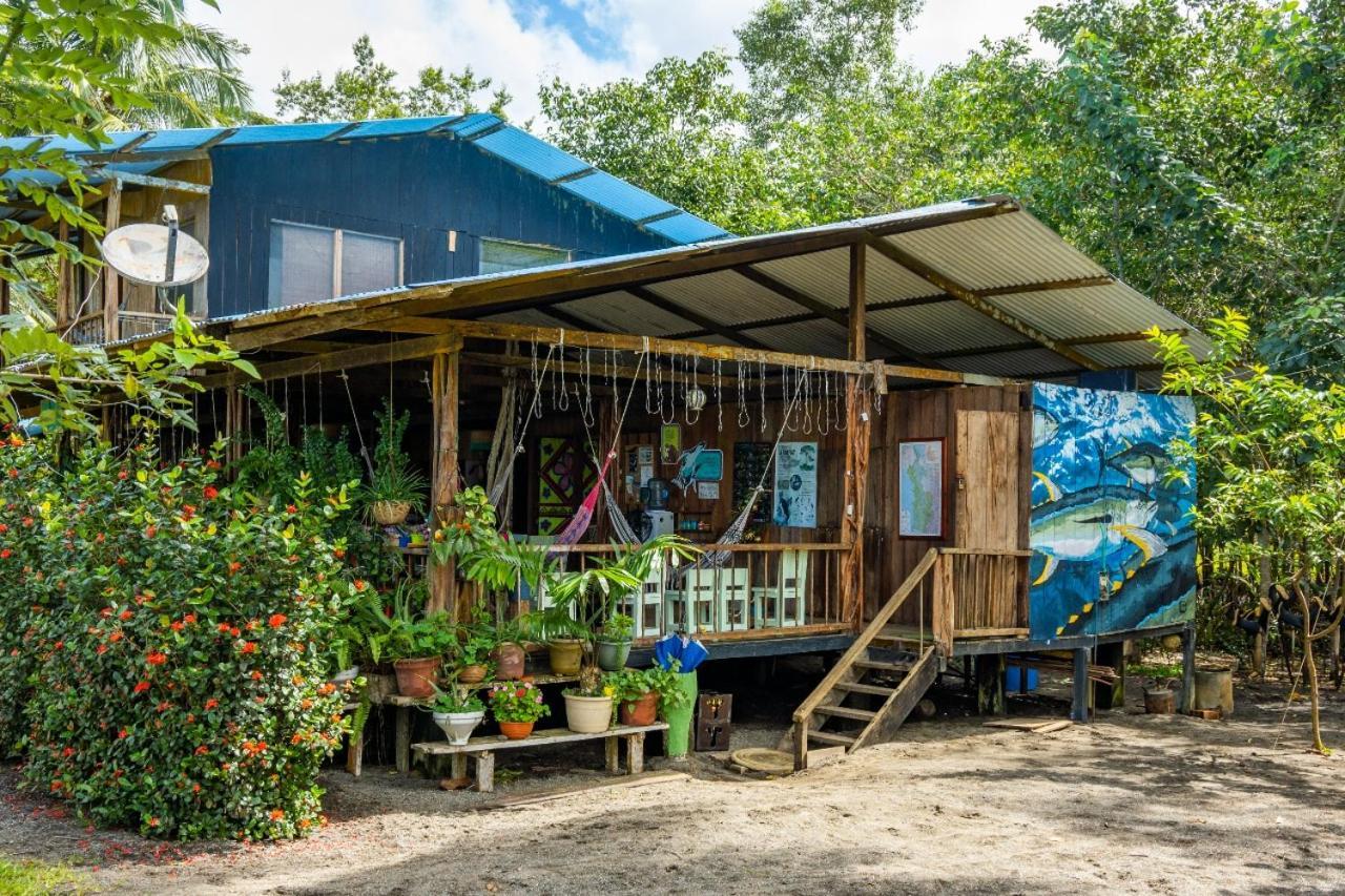 Jardin Botanico Del Pacifico Y Mecana Ecohotel Bahia Solano Eksteriør bilde