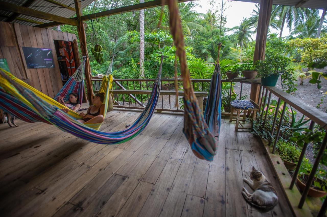 Jardin Botanico Del Pacifico Y Mecana Ecohotel Bahia Solano Eksteriør bilde
